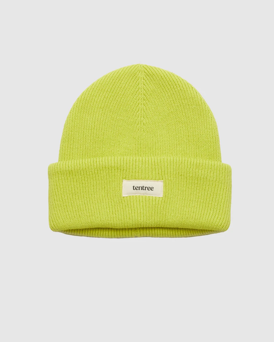 Alden Beanie